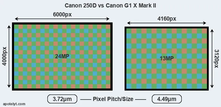 250D versus G1X Mark II MP