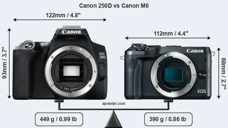 Size Canon 250D vs Canon M6