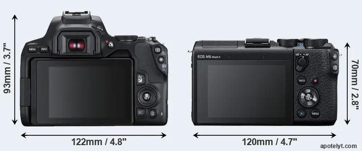 Comparison 250D or M6 Mark II rear