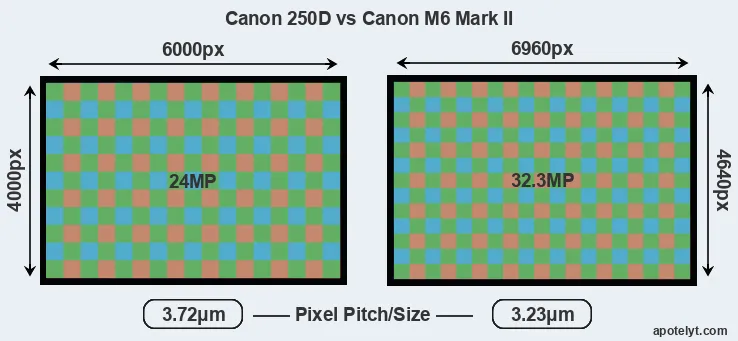 250D versus M6 Mark II MP
