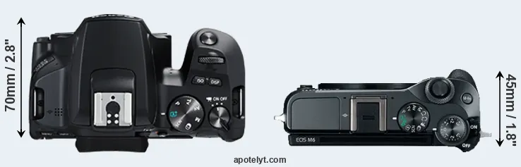 Compare 250D versus M6 top