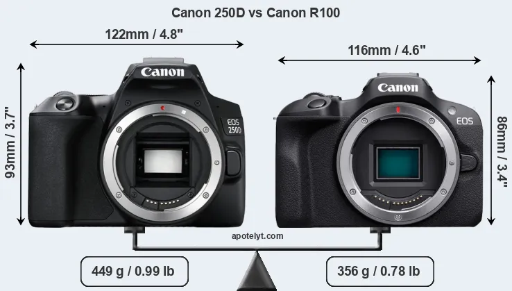 Size Canon 250D vs Canon R100