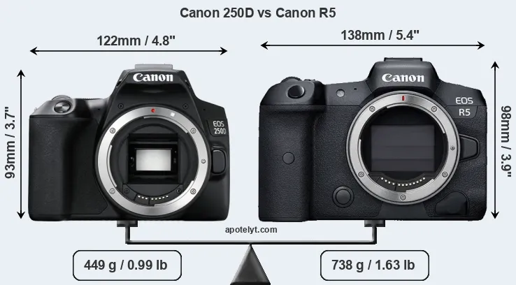 Size Canon 250D vs Canon R5