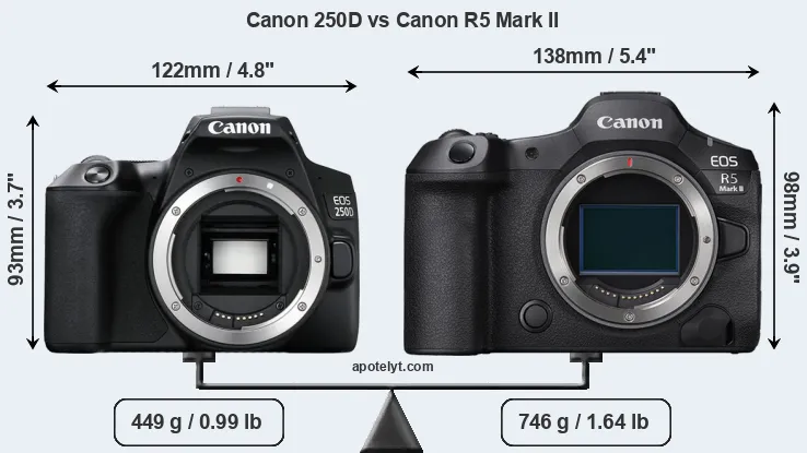 Size Canon 250D vs Canon R5 Mark II