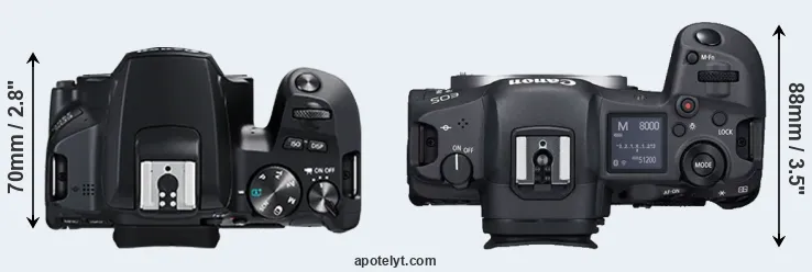 Compare 250D versus R5 top