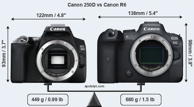 Size Canon 250D vs Canon R6