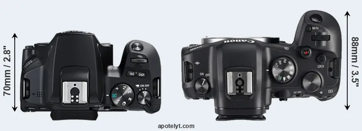 Compare 250D versus R6 top