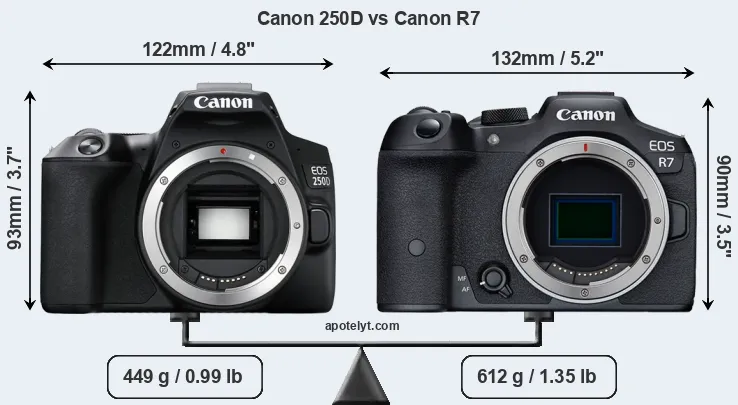 Size Canon 250D vs Canon R7