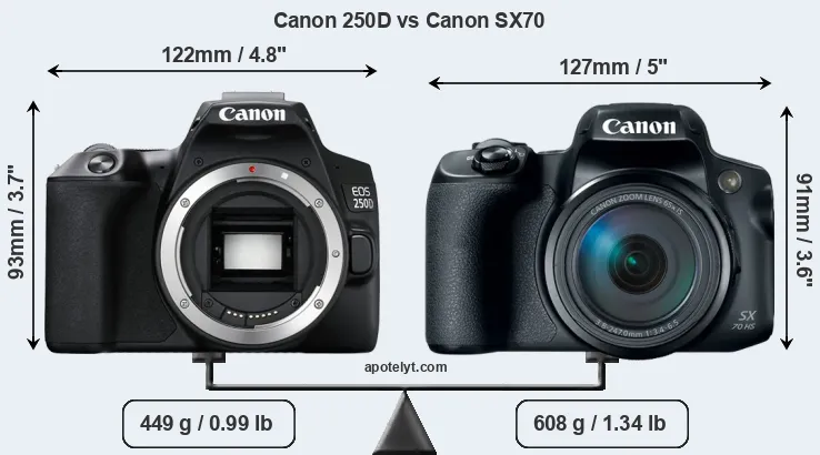 Size Canon 250D vs Canon SX70
