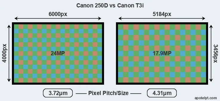 250D versus T3i MP