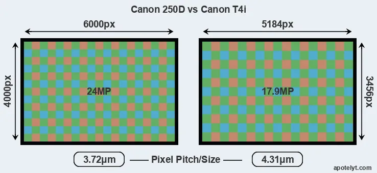 250D versus T4i MP
