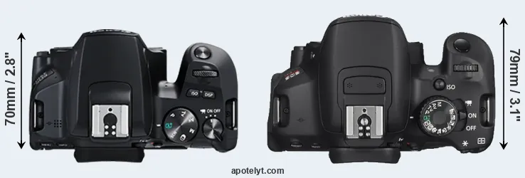 Compare 250D versus T4i top
