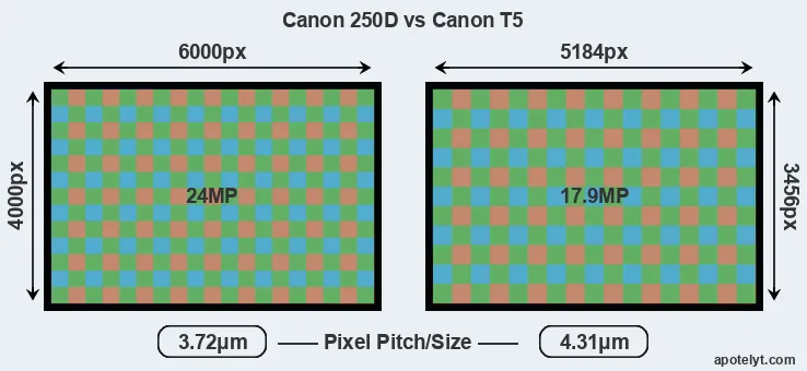 250D versus T5 MP