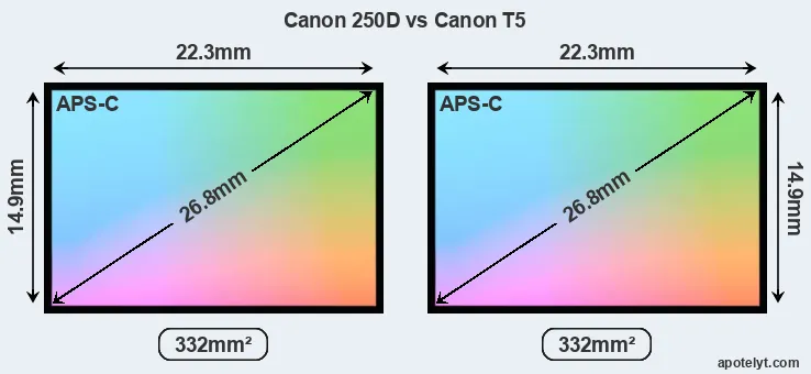 Canon 250D and Canon T5 sensor measures
