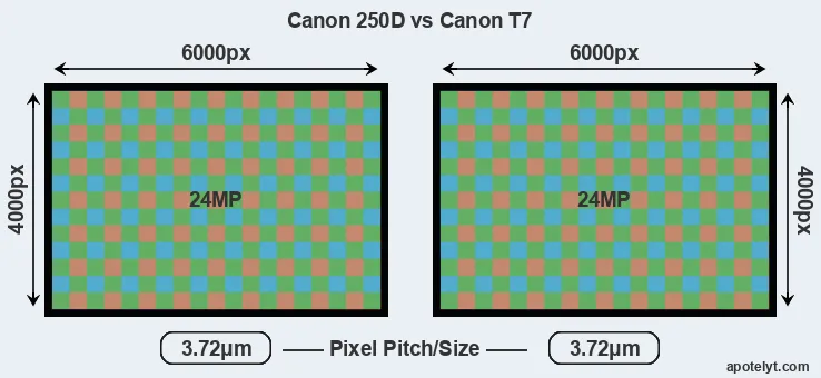 250D versus T7 MP
