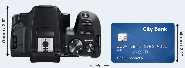 250D versus credit card top view