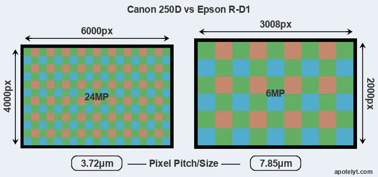 250D versus R-D1 MP