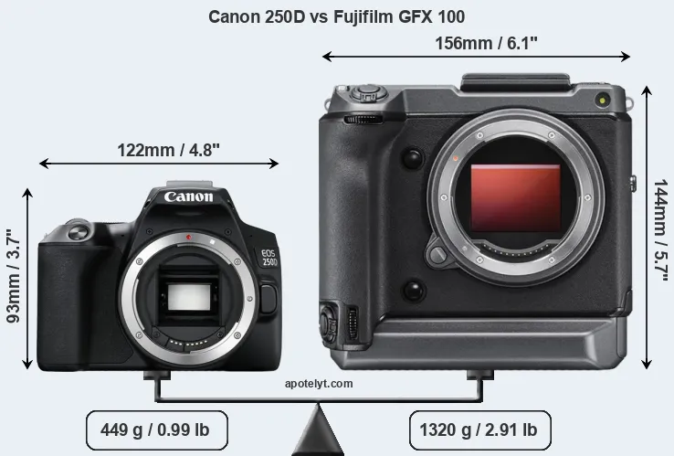 Size Canon 250D vs Fujifilm GFX 100
