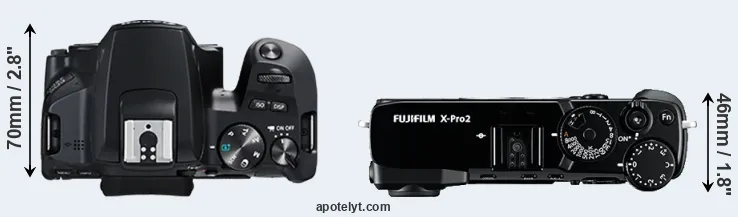 Compare 250D versus X-Pro2 top