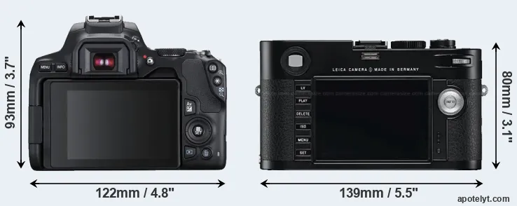 Comparison 250D or M Typ 240 rear