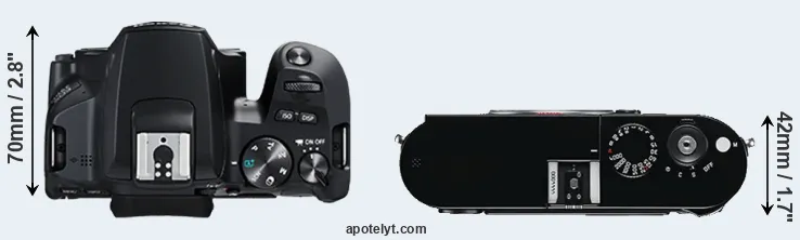 Compare 250D versus M Typ 240 top