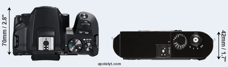 Compare 250D versus M Typ 262 top