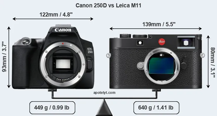 Size Canon 250D vs Leica M11