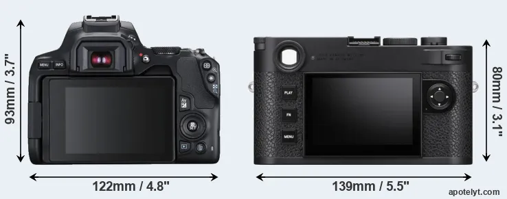 Comparison 250D or M11 rear