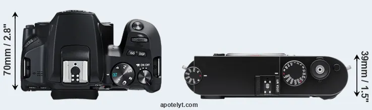 Compare 250D versus M11 top
