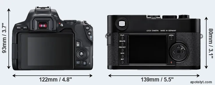 Comparison 250D or M8 rear