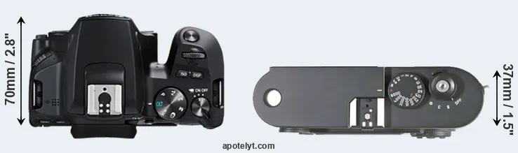 Compare 250D versus M8 top