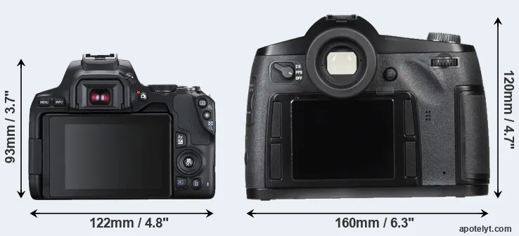 Comparison 250D or S Typ 007 rear