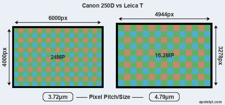 250D versus T Typ 701 MP