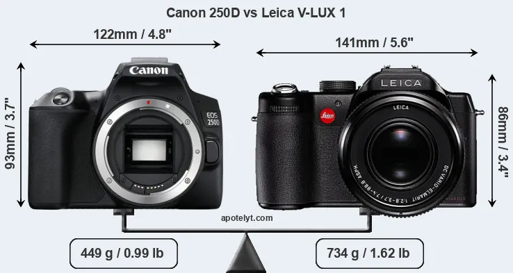 Size Canon 250D vs Leica V-LUX 1