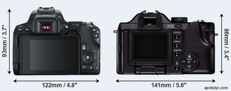 Comparison 250D or V-LUX 1 rear