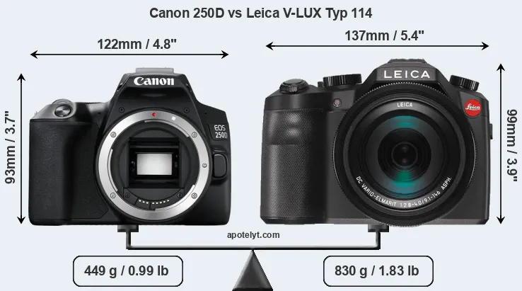 Size Canon 250D vs Leica V-LUX Typ 114