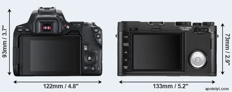 Comparison 250D or X Vario rear