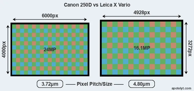 250D versus X Vario MP