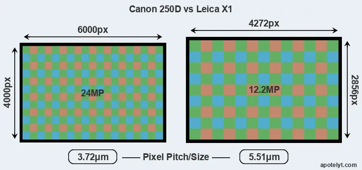 250D versus X1 MP