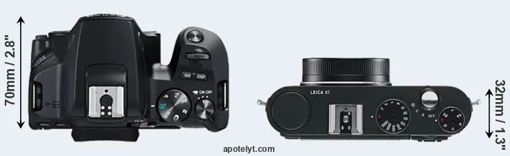 Compare 250D versus X1 top