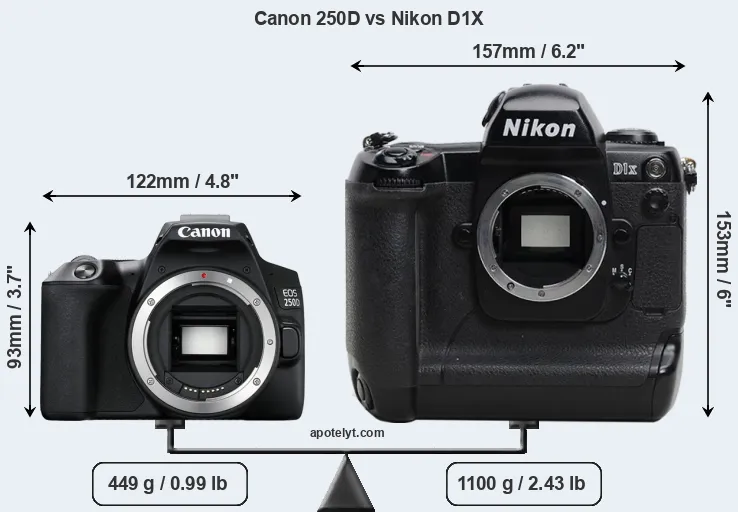 Size Canon 250D vs Nikon D1X