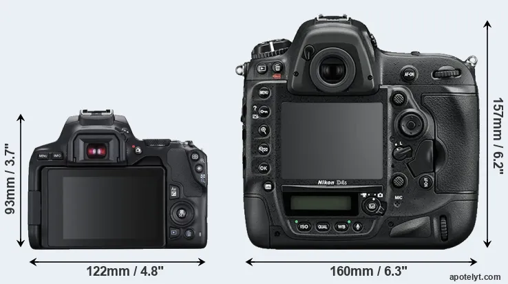 Comparison 250D or D4S rear