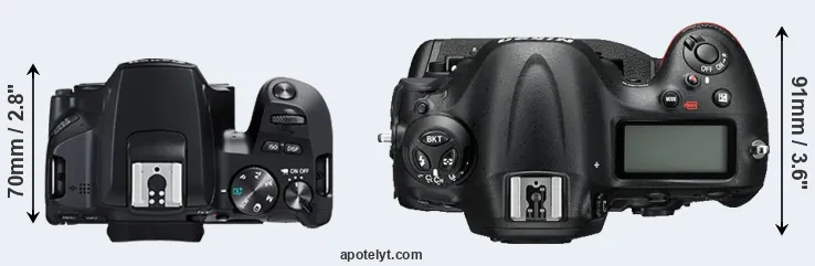 Compare 250D versus D4S top