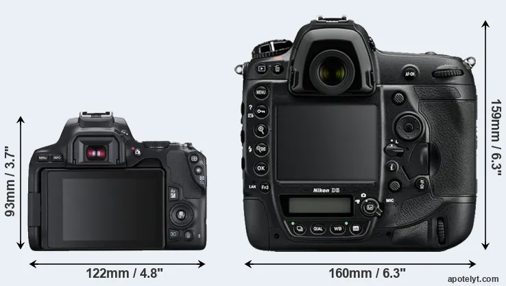 Comparison 250D or D5 rear