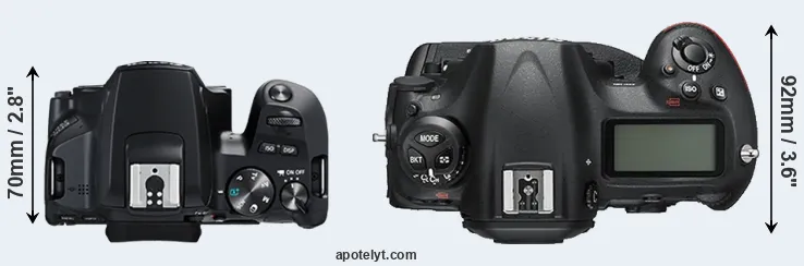 Compare 250D versus D5 top