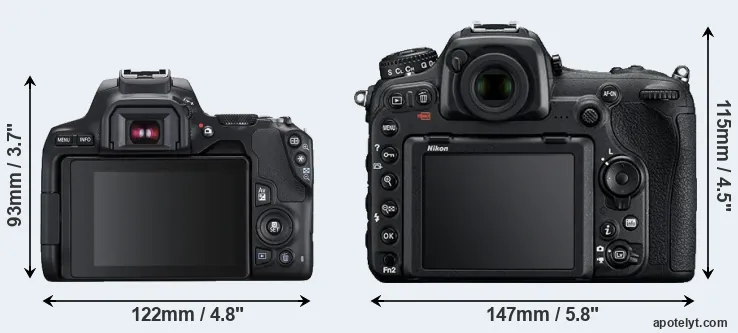 Comparison 250D or D500 rear