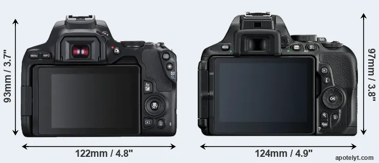 Comparison 250D or D5600 rear