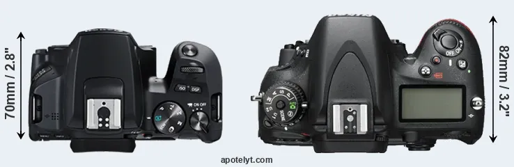 Compare 250D versus D600 top