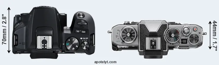 Compare 250D versus Z fc top