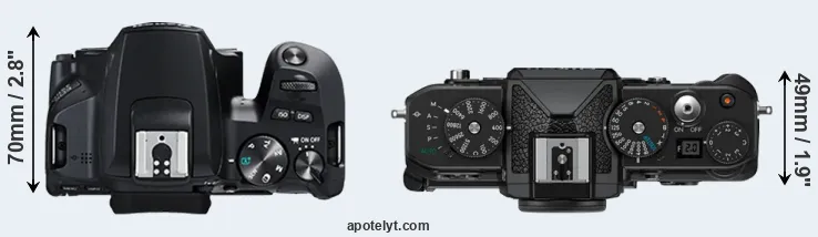 Compare 250D versus Zf top